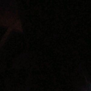 Meet your Posher, Evelyn